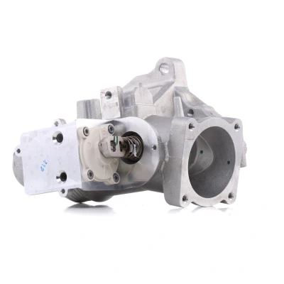 Image of EGR333, ERV247 EGR Valve PIERBURG 7.00555.06.0 Electric Control with seal, without adjusting element VOLVO: XC70 I Cross Country, XC90 I, V50