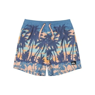 Image of Quiksilver Everyday Straight Volley Swimming shorts, Men&#039;s, Size: XS8, Coronet blue naturama
