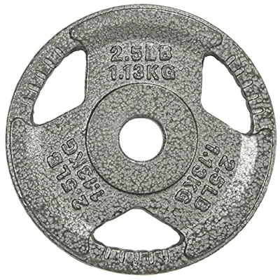 Image of Sporzon! Cast Iron 1 Inch Grip Plate Weight for Strength Training, Weightlifting and Crossfit, Single,Grey