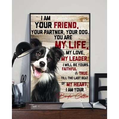 Image of TNND Border Collie I Am Your Friend Partner Dog Lover Gift Metal Sign Art Tin Poster 8x12 inch