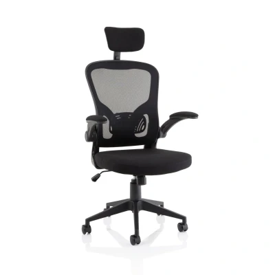 Image of Ace Executive Mesh Chair With Folding Arms