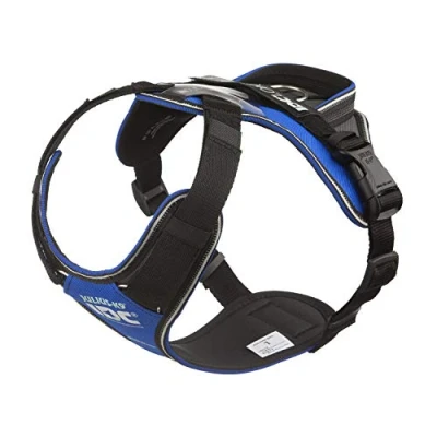 Image of IDC Longwalk Y Harness, Blue Gray, Size: L