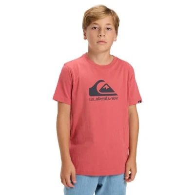 Image of Quiksilver LOGO Youth Unisex Print Tshirt, Size: 8y, Mineral red