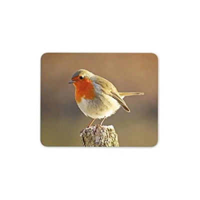 Image of Destination Vinyl ltd Cute Robin Redbreast Bird Mouse Mat Pad British UK Birds Computer #8701