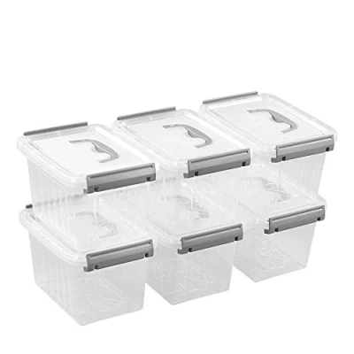 Image of Waikhomes 6 Pack L Storage Containers, Plastic Clear Boxes with Lids (Grey handle)