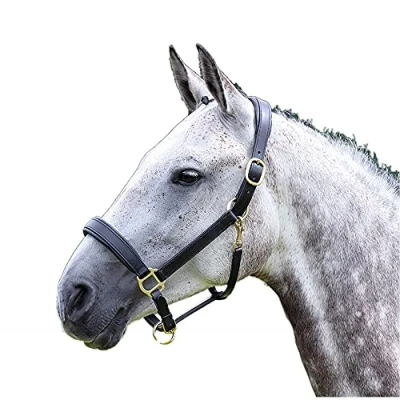 Image of Shires Blenheim Leather Travel Headcollar: Black: Extra Full