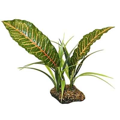 Image of Komodo Tropical Canopy, green