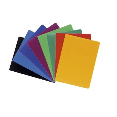 Image of Exacompta Ref. 8560E 1 OPAK document cover 60 anti reflective grained pockets 120 views for A4 format dimensions 24 x 32 cm soft polypro 8 random colors