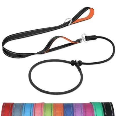Image of Joytale Tangle Free Slip Lead for Dogs, 1.8m with Double Padded Handle, Anti Pull Training Leash Puppy Small Medium Dogs(6 18 KG), Black/Orange