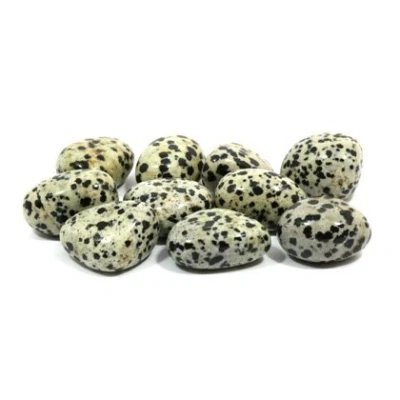 Image of CrystalAge Dalmation Jasper Tumble Stone (20 25mm) Pack of 5