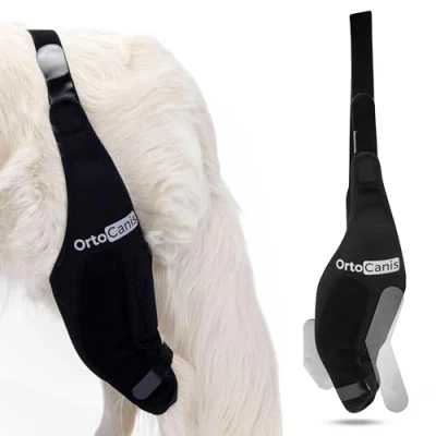 Image of Ortocanis Knee Brace for Dogs with Ligament Rupture and Patella Luxation, Size L, Right Leg