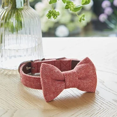 Image of Sweet William Designs Tweed Bow Tie Orange