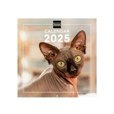 Image of Finocam International 2025 Wall Photo Calendar Month View January December (12 months) Cats
