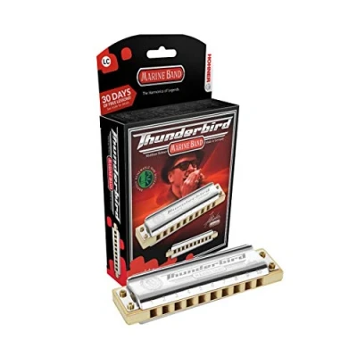 Image of HOHNER M2011BX Thunderbird Harmonica, Key of Low A, Stainless steel (M2011BXL A)