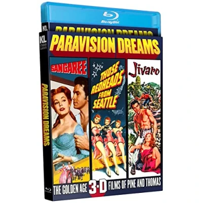 Image of Paravision Dreams: The Golden Age 3 D Films of Pine and Thomas