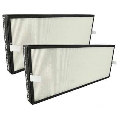 Image of vhbw 2 x HEPA Filters Compatible with Rowenta Intense Pure Air XL Connect PU6080F0, PU6080 Humidifier Replacement Filter