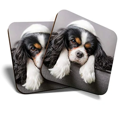 Image of 2 x MDF Glossy Top Coasters Square Cavalier King Charles Spaniel Dog 12388