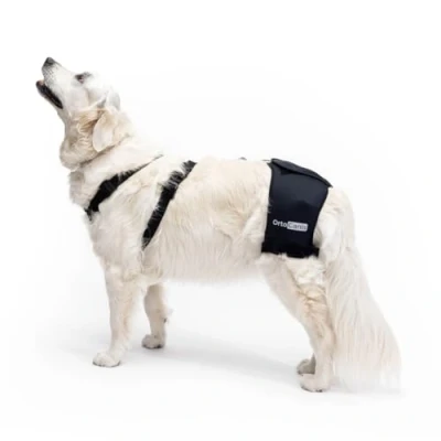 Image of Ortocanis Hip Support for Dogs with Dysplasia or Osteoarthritis, Size L