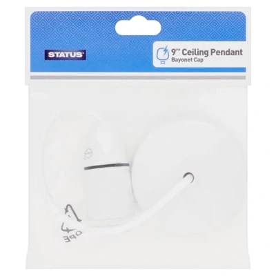 Image of Status 9 inch White Ceiling Pendant