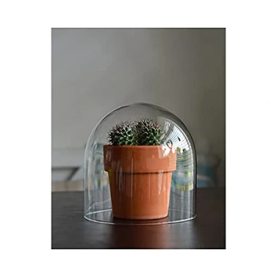 Image of EMH Small Mouth Blown Clear Circular Glass Display Cloche Dome 16 x 15 cm