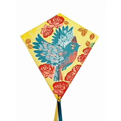 Image of Djeco DJ02153 Games of Skill Kite, Multicoloured