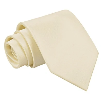 Image of DQT Plain Glossy Satin Polyester Wedding Classic Neck Tie for Men in Champagne