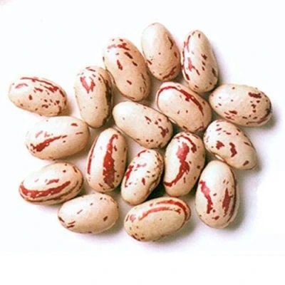Image of Rosecoco Beans (Crab Eye Beans) 200g