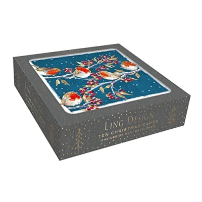 Image of Box of 10 Festive Robins Gold Foiled Christmas Cards Boxes Xmas Card Packs X15158EA