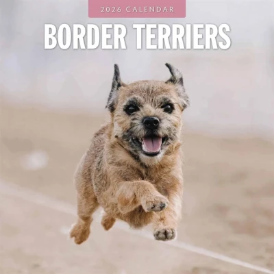 Image of Just Border Terriers Calendar 2026