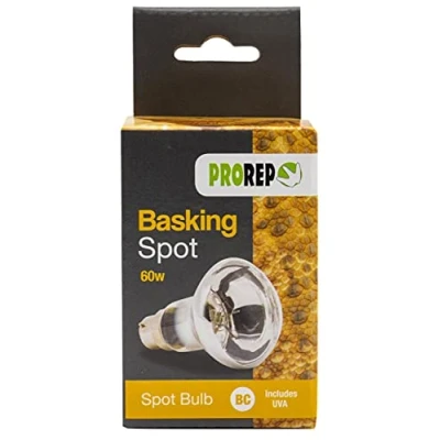 Image of ProRep Basking Spot Lamp 60 Watts BC Bayonet Bulbs Clear Reflector Bulb Reptile Lighting Spotlight