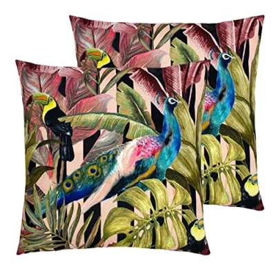 Image of Evans Lichfield Toucan and Peacock Outdoor Cushions (Twin Pack) Multicolour One Size