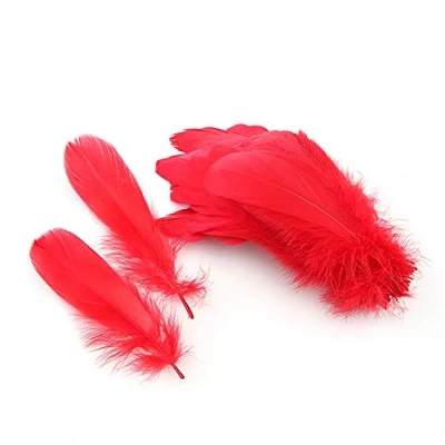 Image of Sowder Natural Goose Feathers Clothing Accessories Pack of 100(Turquoise)