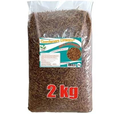 Image of GardenersDream Dried Mealworms 2KG Premium Food for Wild Birds