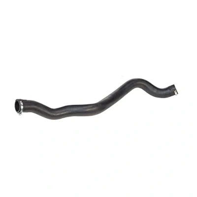 Image of 6001549066 Turbocharger Hose GATES 09 0807 EPDM (ethylene propylene diene Monomer (M class) rubber)