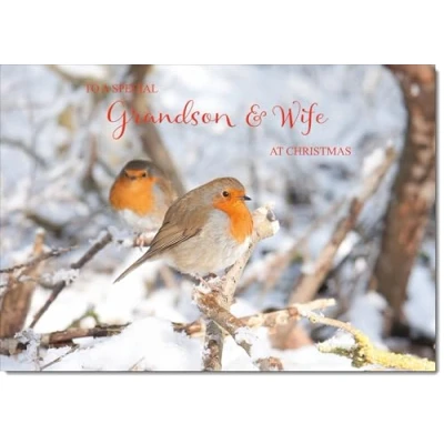 Image of doodlecards Grandson &amp; Wife Christmas Card Two Robins in Tree Medium Size with Plain Envelope
