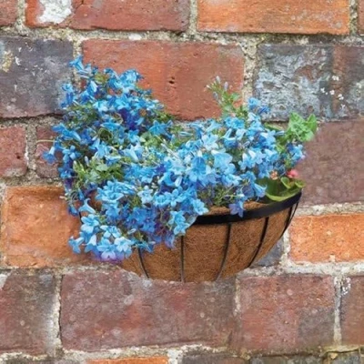 Image of garden Mile 16in Wall Manger Hanging Basket Outdoor Durable Metal for Decorations, Balcony, Patio Flower Planters Weatherproof planter (Saxon 16in)