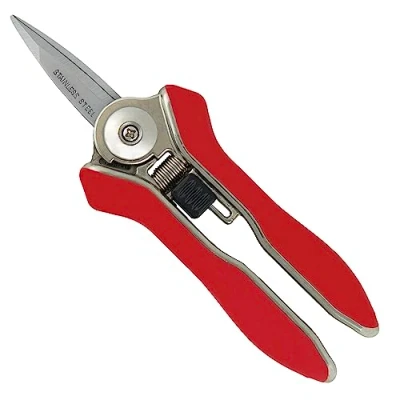 Image of Darlac Mini Snips Ideal For Deadheading, Light Pruning, Floristry &amp; Collecting Herbs Stainless Razor Sharp Steel Blades Suitable Left Or Right Handed Use Smaller Hands