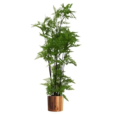 Image of Leaf Artificial Realistic Natural Look Pot, Moss Fern Large Copper, 150cm