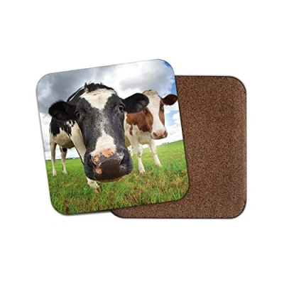 Image of 1 x Curious Cattle Coaster Cow Farm Farmer Funny Bull Animal Dairy #12314