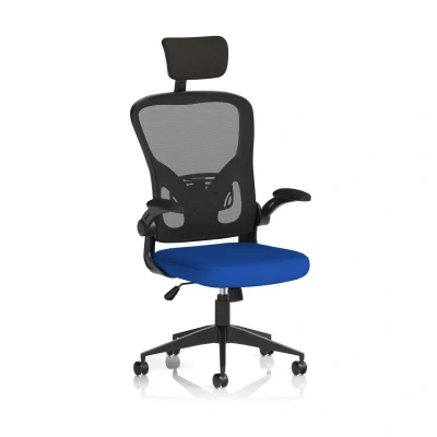Image of Ace Executive Fabric Seat Stevia Blue Mesh Chair With Folding Arms