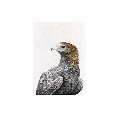 Image of Maxwell &amp; Williams Marini Ferlazzo Birds Printed Tea Towel with Wedge tail Eagle Design, 100% Cotton, Black/White, 50 x 70 cm