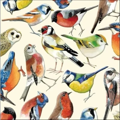 Image of Woodmansterne General Male/Female Blank/Birthday Card for Men/Women British Birds By Emma Bridgewater Eco Friendly &amp; Recyclable