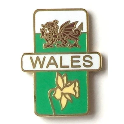 Image of Wales Welsh Dragon and Daffodil Enamel Lapel Pin Badge T615