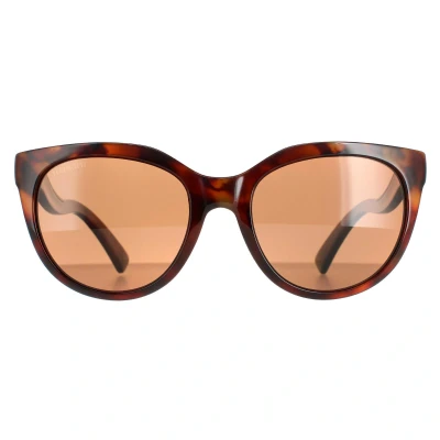 Image of Serengeti Unisex&#039;s Lia Sunglasses Lenses Polarised Drivers, Shiny Red Moss Tortoise/Satin Champagne Gold, Small