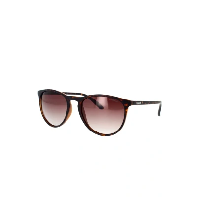 Image of Sunglasses Polaroid Pld 6003/n/s col. v08/la Unisex Round Havana
