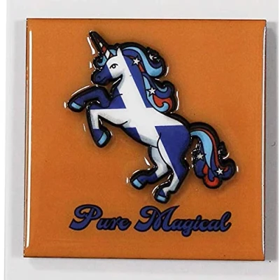 Image of Scotland Scottish PU Fridge Magnet Lion Rampant Tartan 3D Epoxy Thistle Edinburgh (Saltire Unicorn)