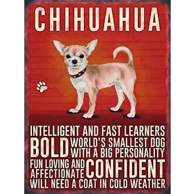 Image of Chihuahua steel fridge magnet (og)