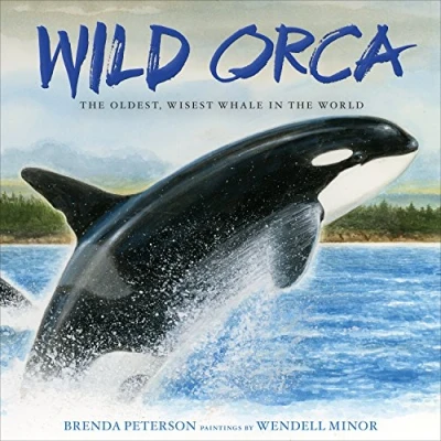 Image of Wild Orca: the Oldest, Wisest Whale in World