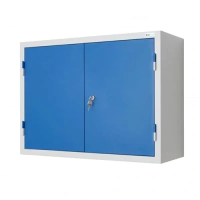 Image of BiGDUG Wall Mounted Steel Cupboard Storage Locker, Medical Cabinet 2 Door 600h x 800w 320d mm Blue