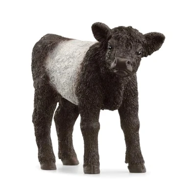 Image of schleich 13969 FARM WORLD Galloway Calf Figurine for ages 3+, Black